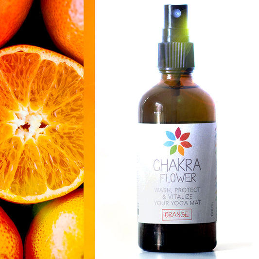 Reiniger Konzentrat – Bio Orange