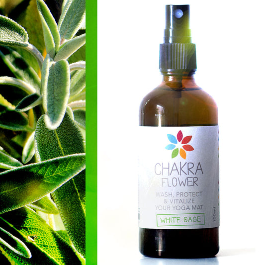 Reiniger Konzentrat – Weißer Salbei