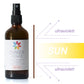 Reiniger Konzentrat – Bio Orange